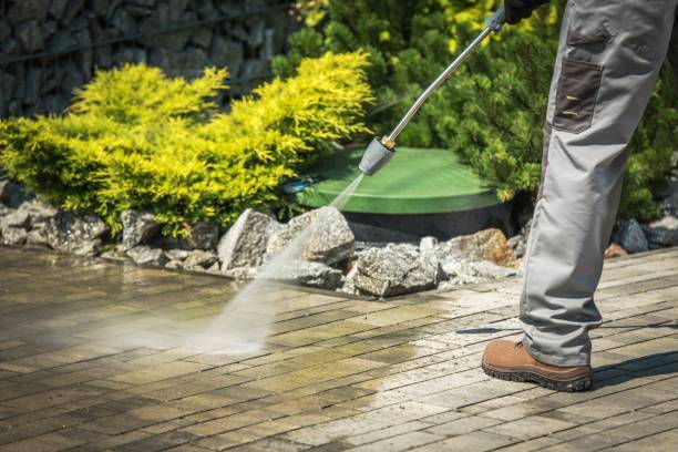 Spring Cleaning in Golden Triangle, NJ